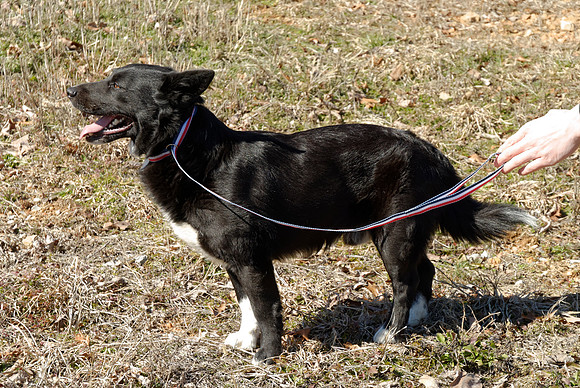 2011-02-08-B41-G