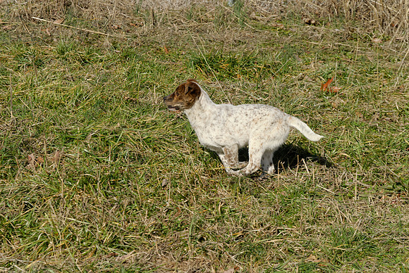 2011-02-02-0126