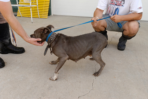 2011-07-26-B116-A