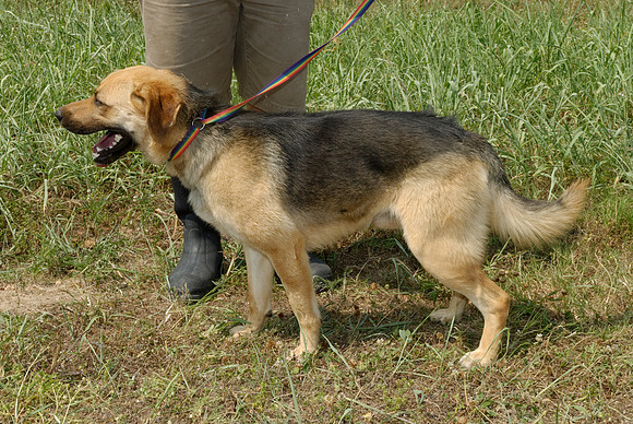 2011-06-10-B53-A