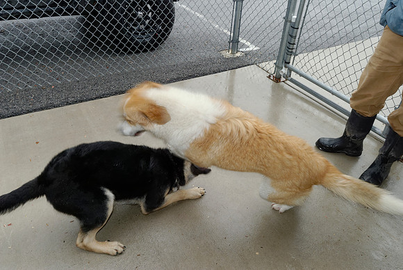 2011-01-13-012