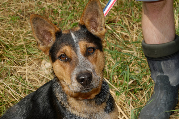 2011-08-30-R 179-B