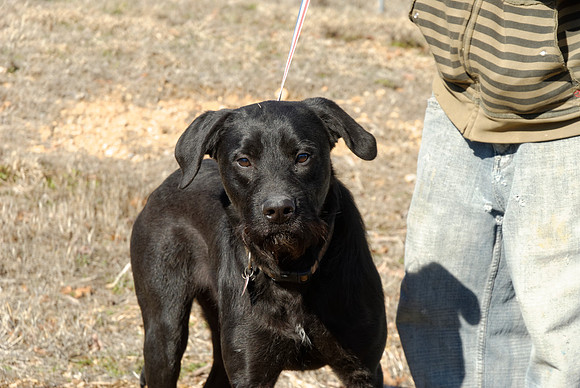 2011-02-08-R88-B2011-02-08-Rutus-E