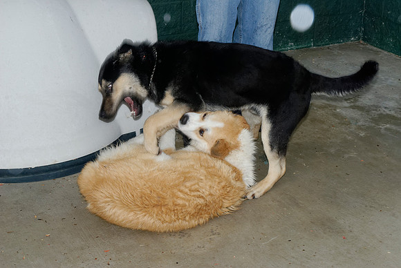 2011-01-13-016