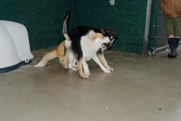 2011-01-13-008