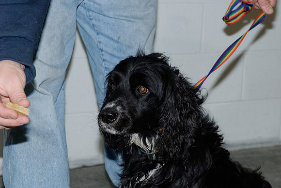 2011-01-12-0076