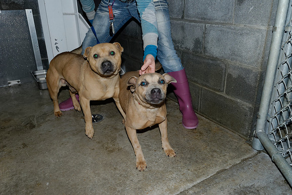 2011-01-25-B83 or B84-B