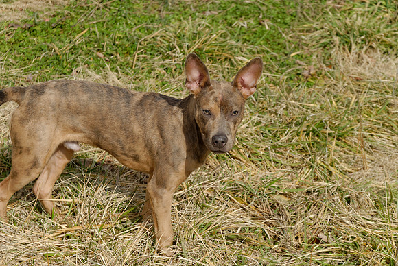 2011-02-02-0010
