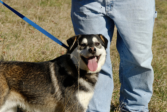 2011-02-08-B16-R
