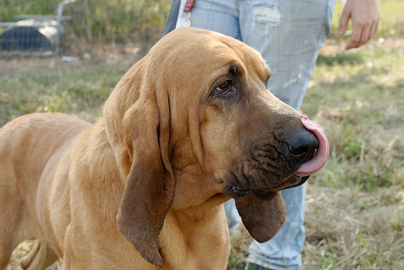 2010-11-06-0020