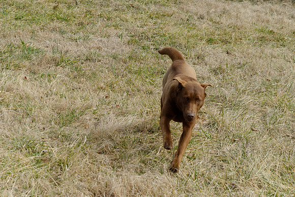 2011-02-02-0027