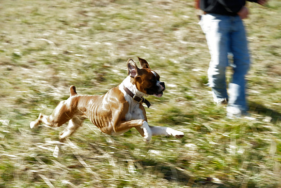 2011-02-02-0245