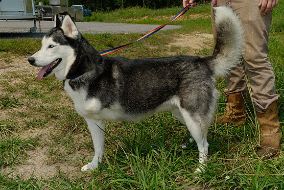2011-07-04--R117-H
