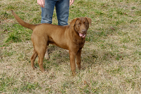 2011-02-02-0043