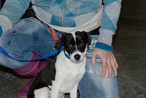 2011-01-25-B111-G