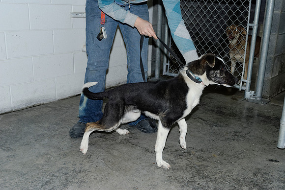 2010-12-20-0110