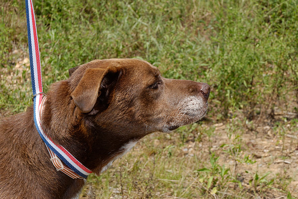 2011-08-02-R9-B