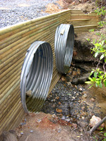 DSCN0029