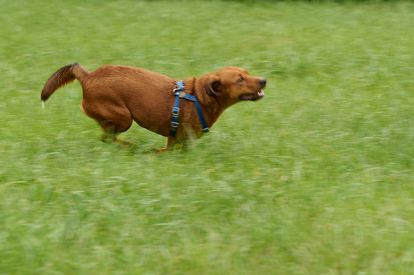 2012-09-08-039