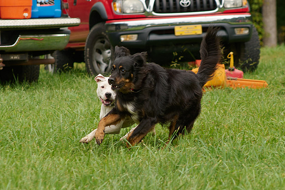 2012-09-08-049