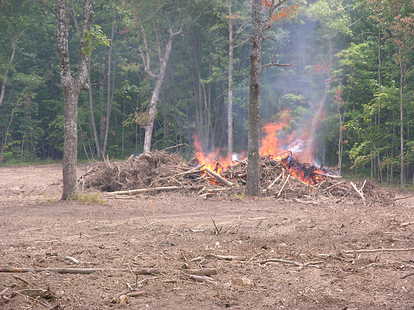 DSCN0042