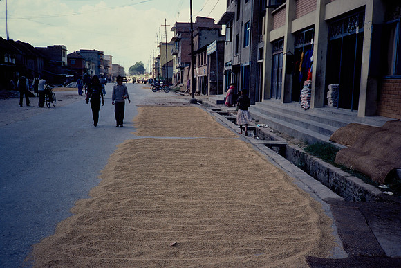 Tray 1-031