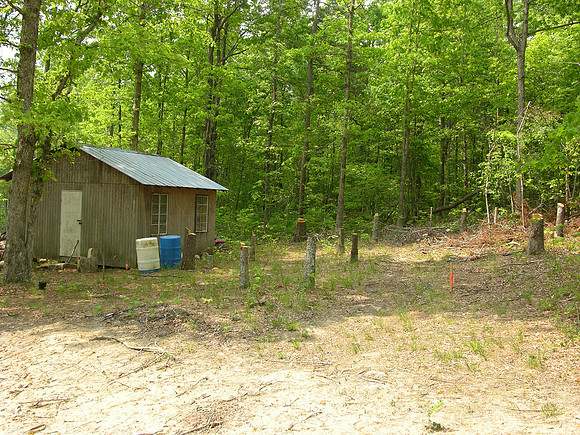 DSCN0061