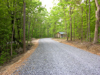 DSCN0019