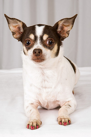 Mitzi 04