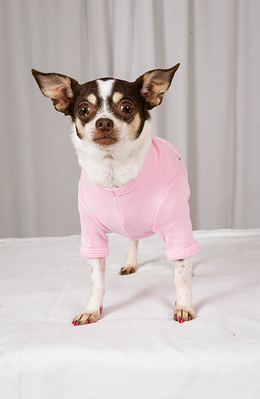 Mitzi 08