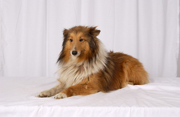 Maggie 01