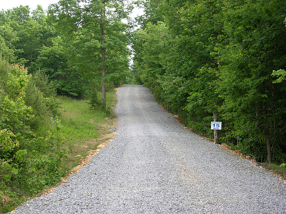 DSCN0006