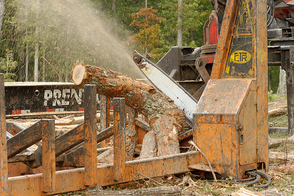 2010-09-11-097