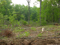 DSCN0036