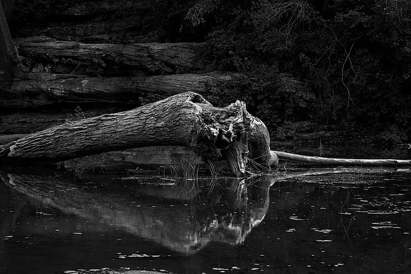 Between Floods