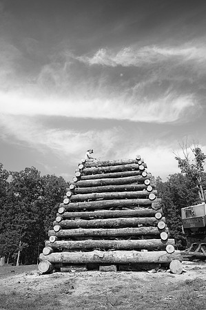 2011-09-17-030 b&w