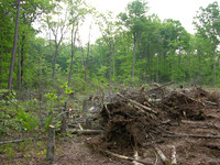 DSCN0034