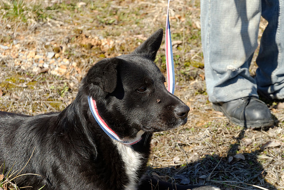 2011-02-08-B41-E