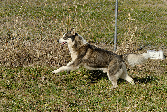 2011-02-02-0161