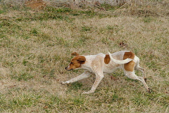 2011-02-02-0029