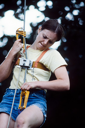 Lin Varney