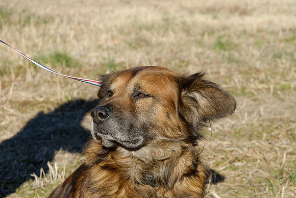 2011-02-08-R74-K