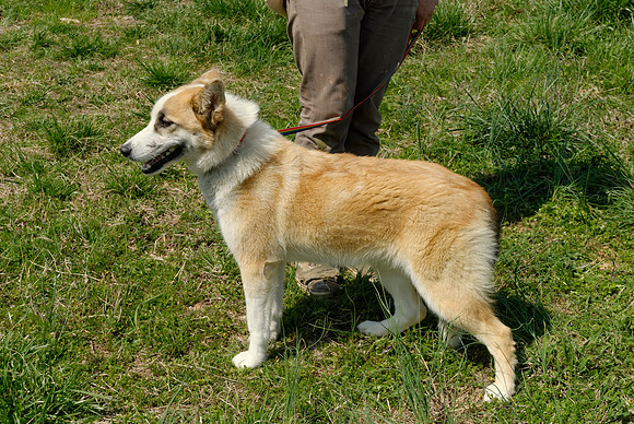 2011-03-21--R103-E