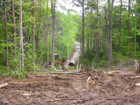 DSCN0037