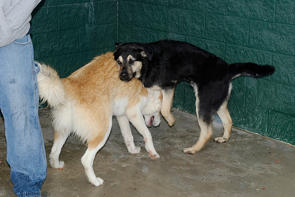2011-01-13-015