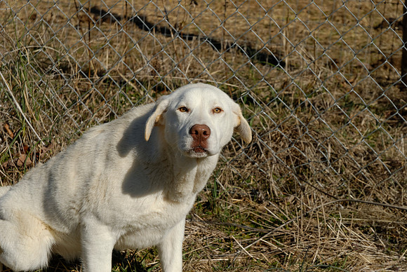 2011-02-08-R28-J