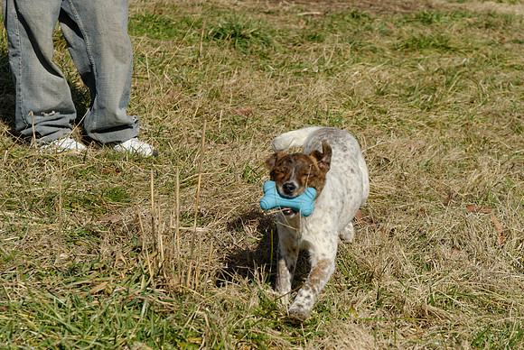 2011-02-02-0136