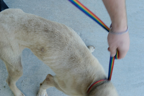 2011-07-26-B117-C