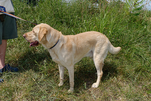 2011-07-29-R275-H
