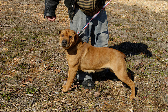 2011-02-08-B37-G